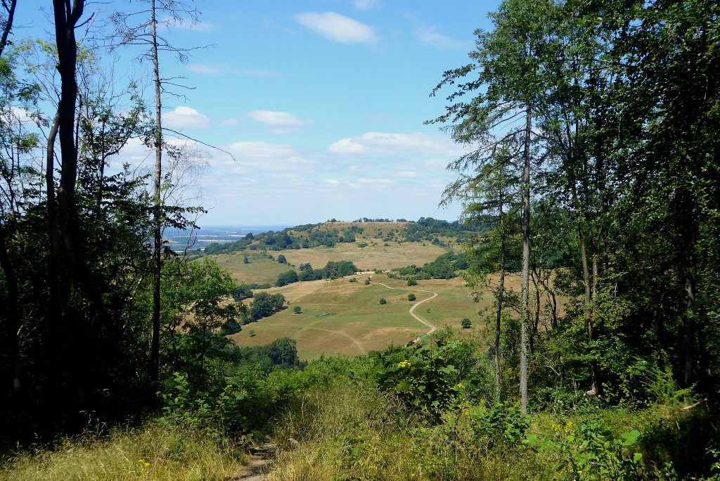 North-facing viewpoint from the northern end of the Iron Age cross dyke in Standish Wood near Randwick in Gloucestershire.